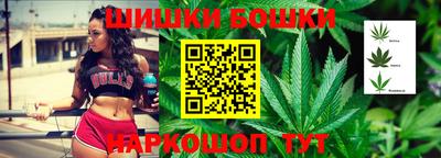 СК Боровичи
