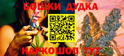 СК Боровичи