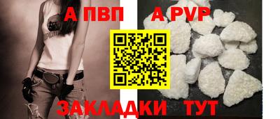 СК Владивосток