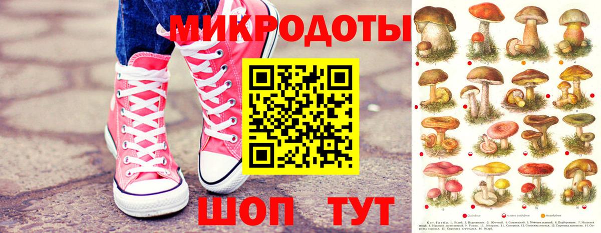 Псилоцибиновые грибы GOLDEN TEACHER Ивантеевка