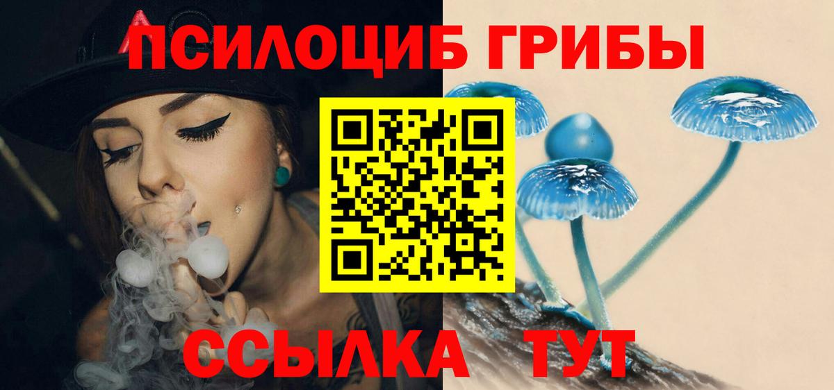 Ивантеевка  Псилоцибиновые грибы Cubensis  Вход с VPN 